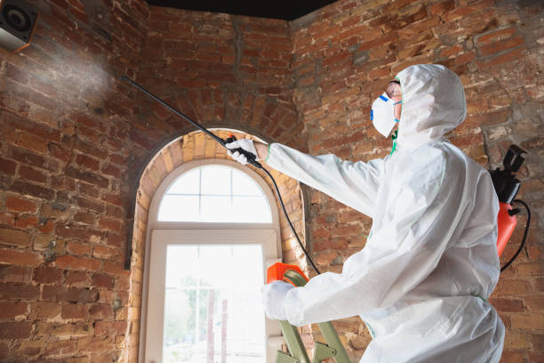 Best Asbestos and Lead Testing During Mold Inspection  in Columbus, GA